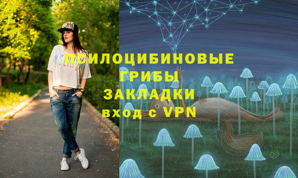 индика Арсеньев