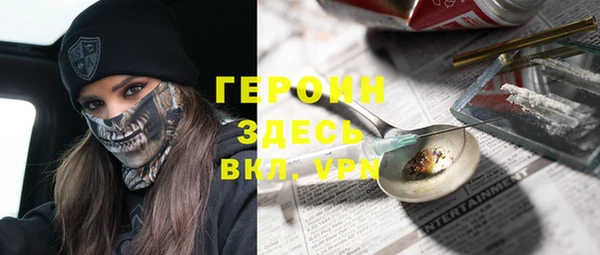 индика Арсеньев