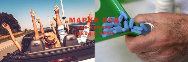 индика Арсеньев
