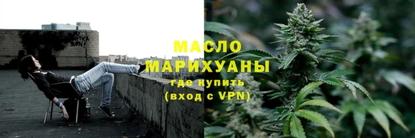 индика Арсеньев