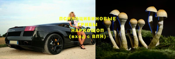 индика Арсеньев