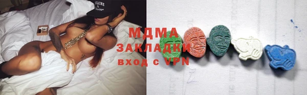индика Арсеньев