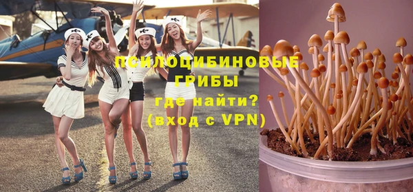 индика Арсеньев