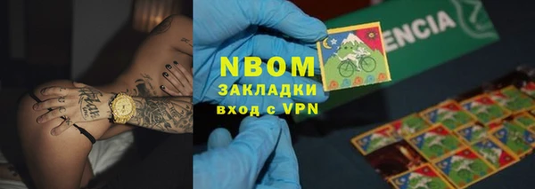 индика Арсеньев