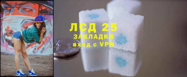 амф Аркадак