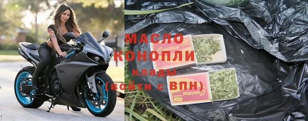 индика Арсеньев