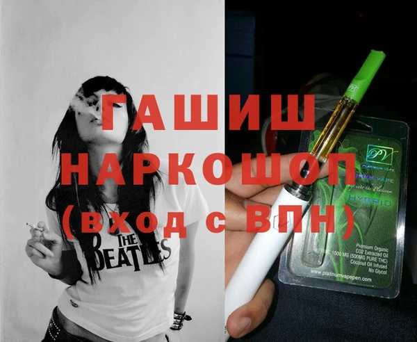 индика Арсеньев