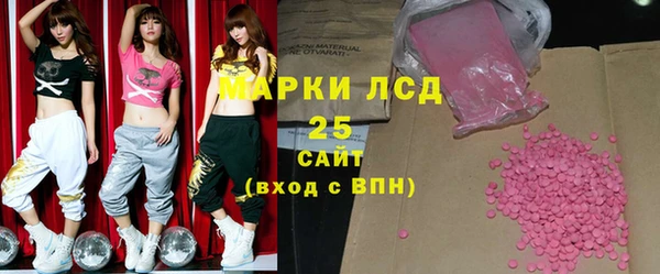 индика Арсеньев