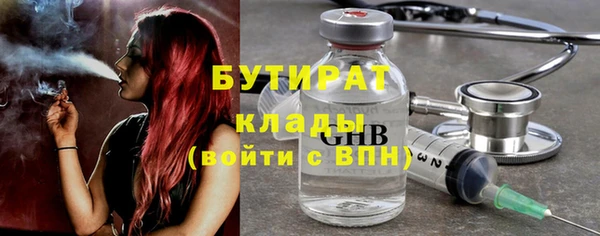 индика Арсеньев