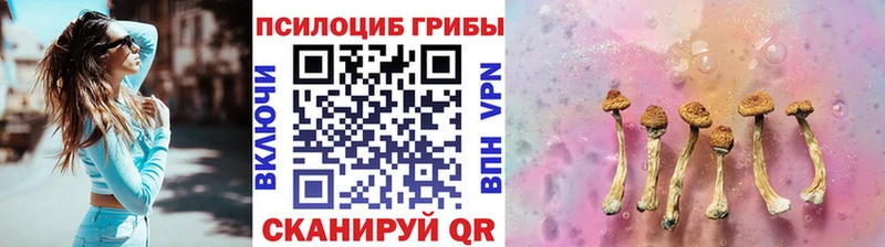 Купить  Сасово  Галлюциногенные грибы GOLDEN TEACHER 